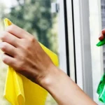 come-pulire-le-finestre-senza-luso-di-prodotti-chimici-in.webp.webp