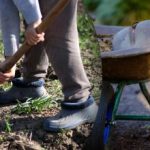 Calendario delle semine di settembre 2025: cosa fare in giardino