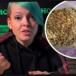 Come scegliere le piante di sidro e sorprendere i vicini