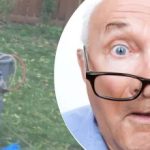 Lo strano ritrovamento vicino all'albero ha lasciato il vicino perplesso: