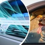 Ondata di calore in Ucraina: come raffreddare rapidamente l'abitacolo dell'auto